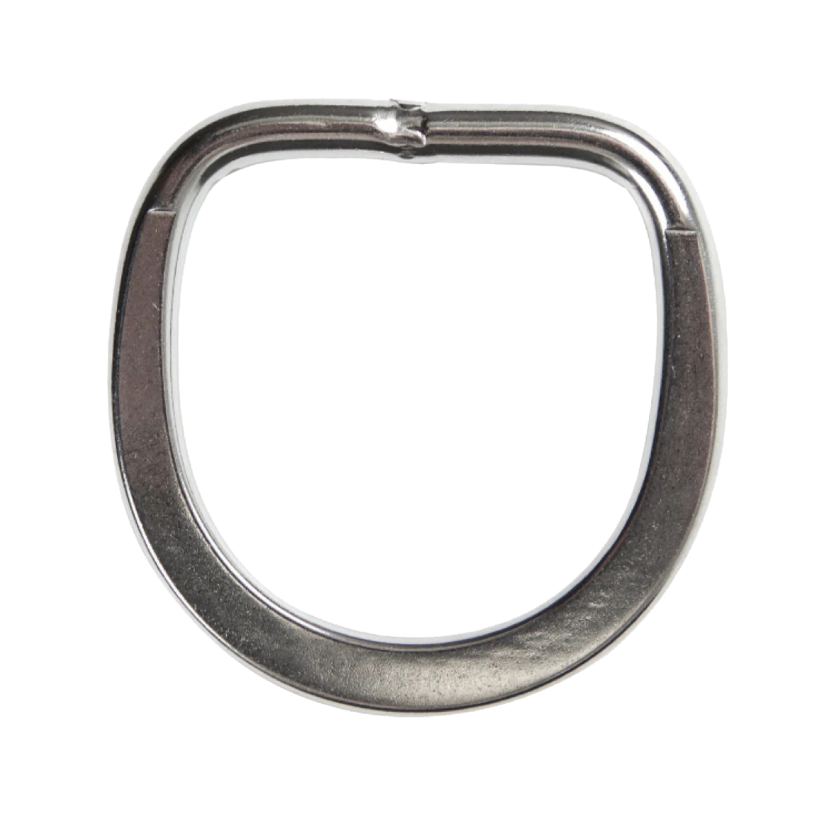Highland Harness D-Ring, 2 in flat lifting