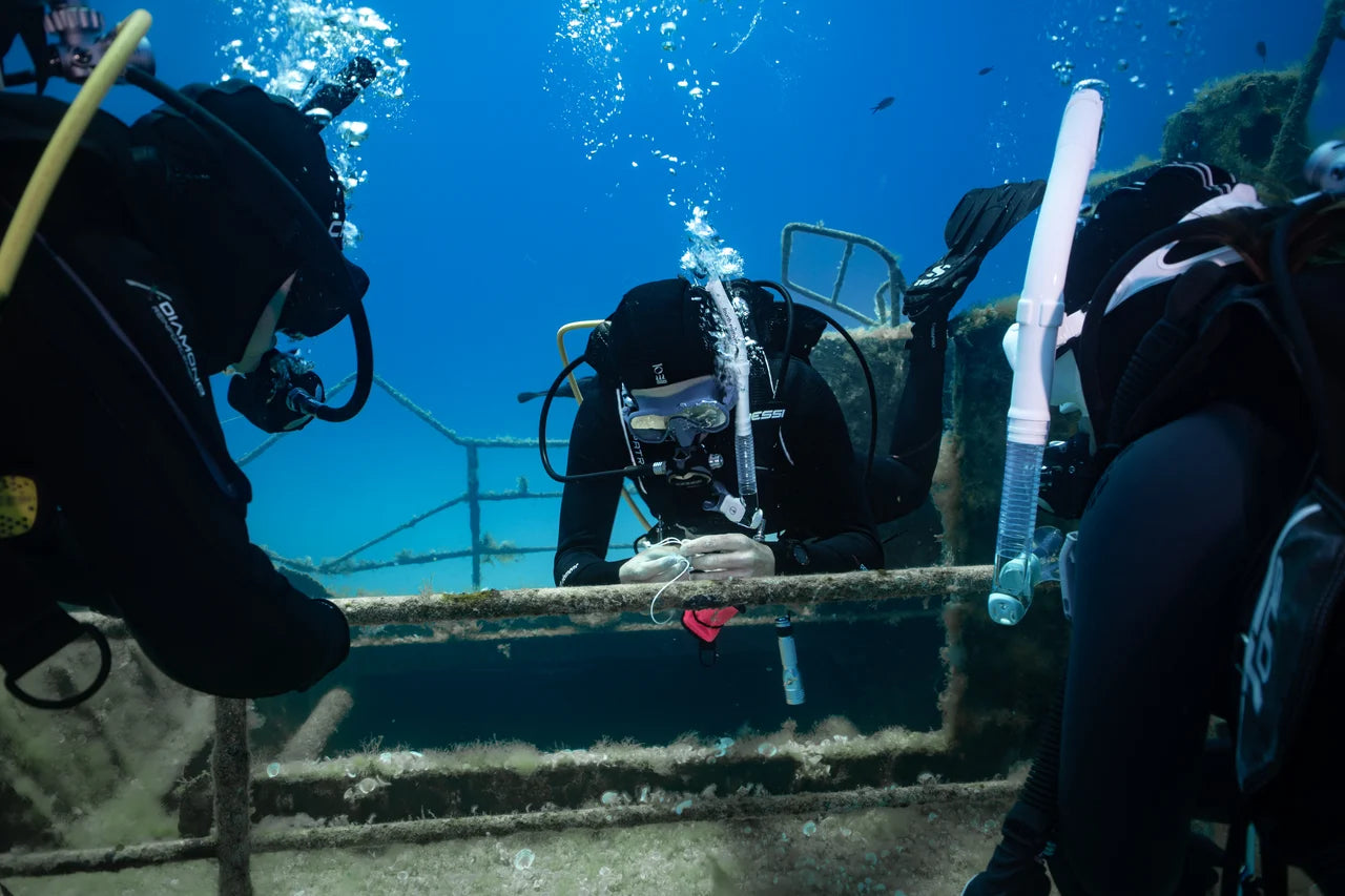 Scuba divers explore the steps of a submerged wreck.