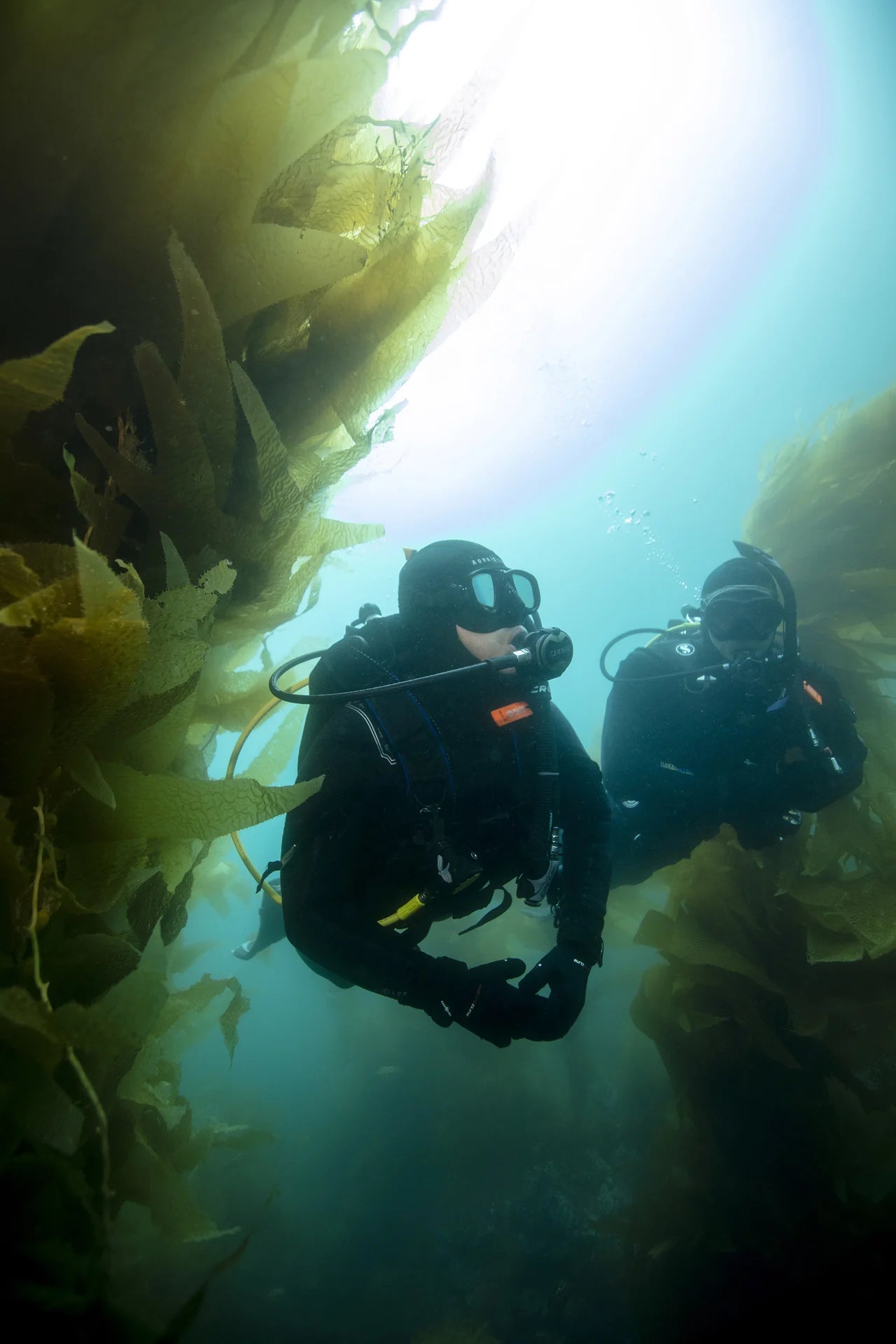 Open Water Diver PADI program photograph