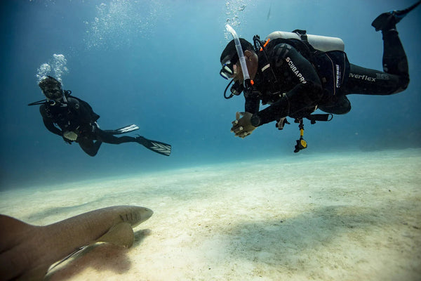 Divers observe a shark in AWARE Shark Conservation imagery. © PADI 2026