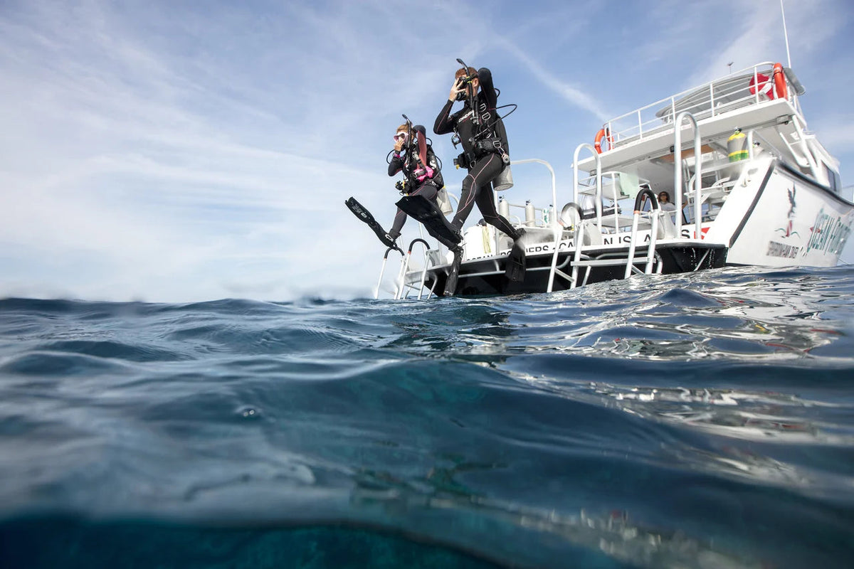 Divers step from a dive boat into the water. © PADI 2026