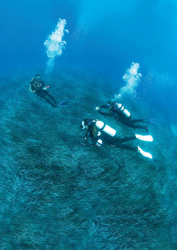 A divemaster leads divers through cold open water. © PADI 2026