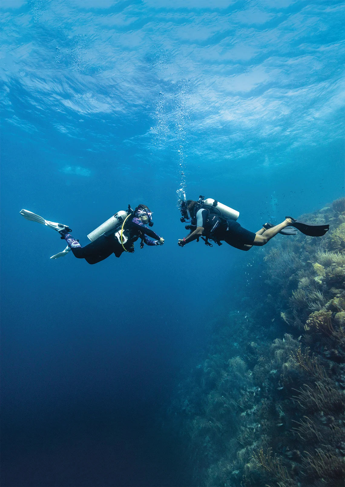 Divers practice neutral buoyancy above a reef. © PADI 2026
