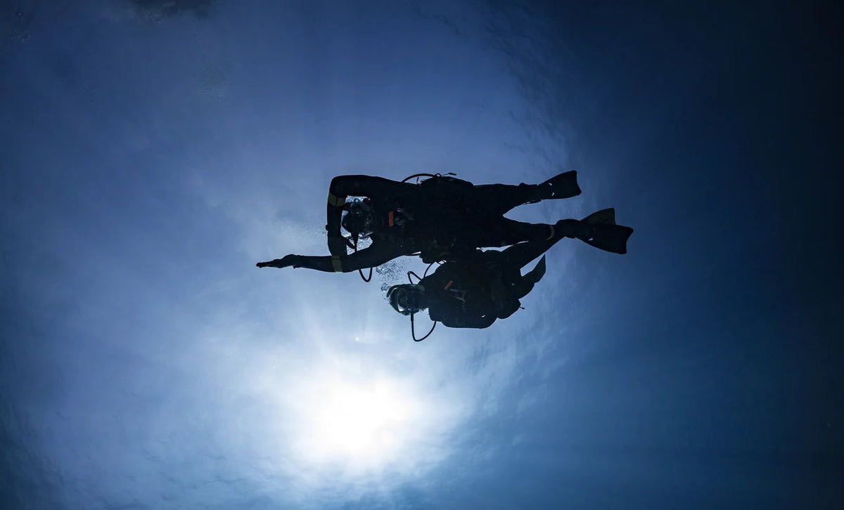 A diver uses a compass underwater in PADI Underwater Navigator imagery. © PADI 2016