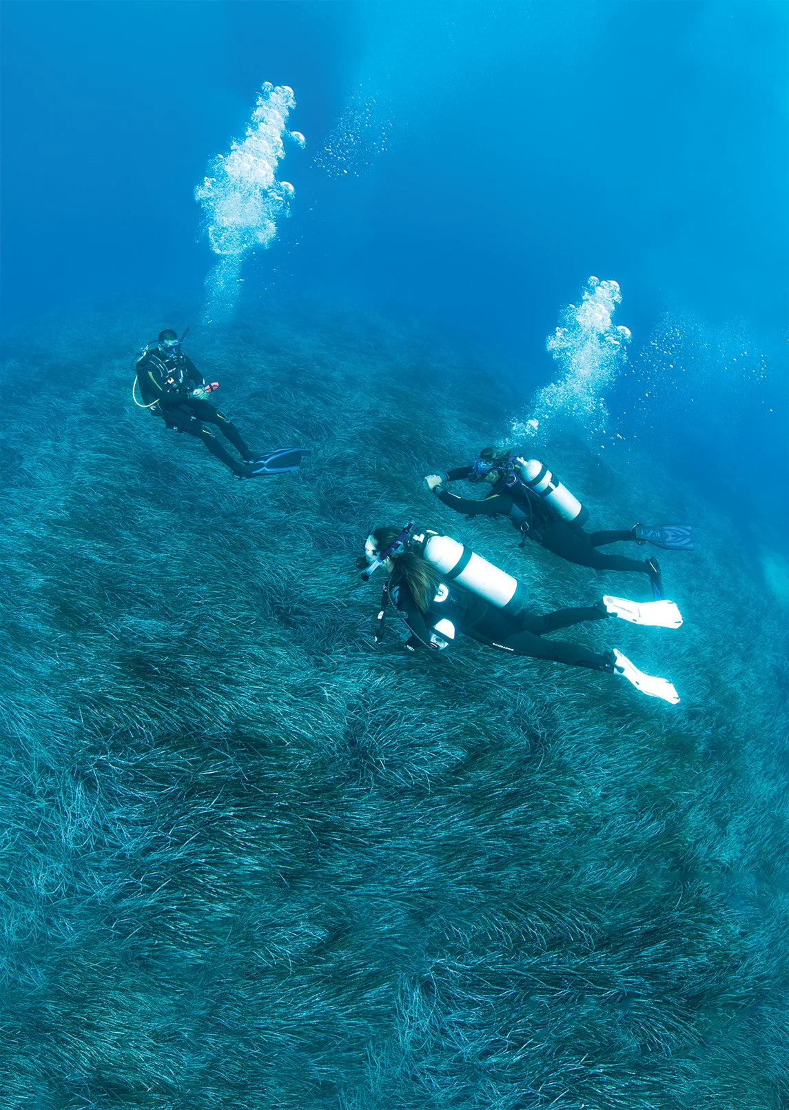 A divemaster leads divers through cold open water.