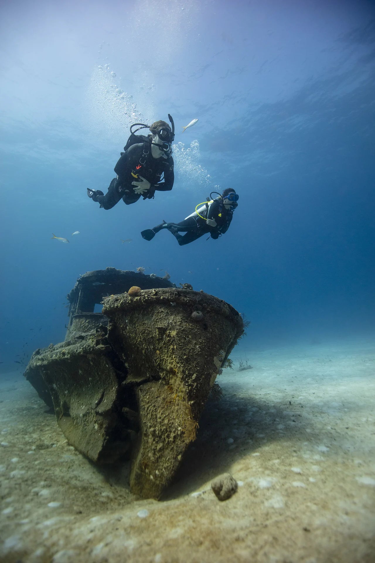 Divers above a wreck in PADI Master Scuba Diver recognition-path imagery.