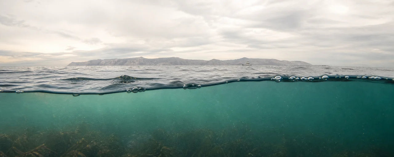 Illustrated coastal scene showing mountains above the water and open water below the surface.
